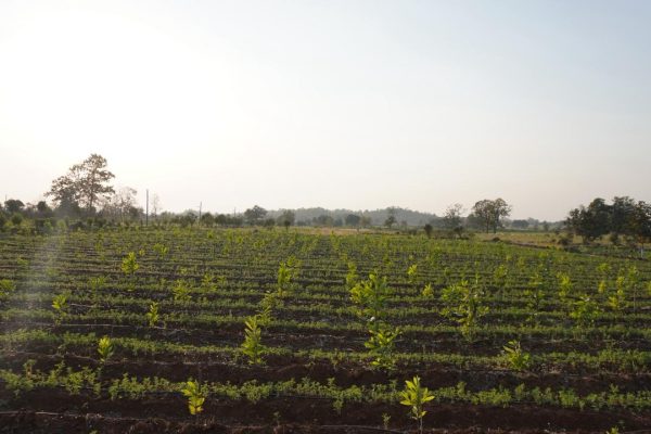 WhatsApp Image 2026-04-20 at 12.00.47 PM